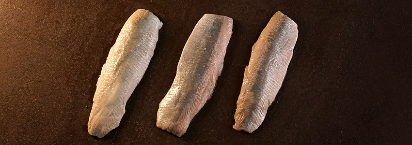 Poissons en salade