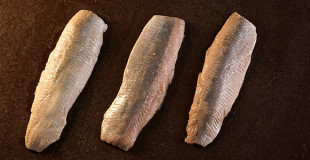 Poissons en salade