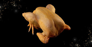 Volailles fermières de Chez Arnaud Tauzin