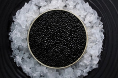 LE CAVIAR FRANÇAIS