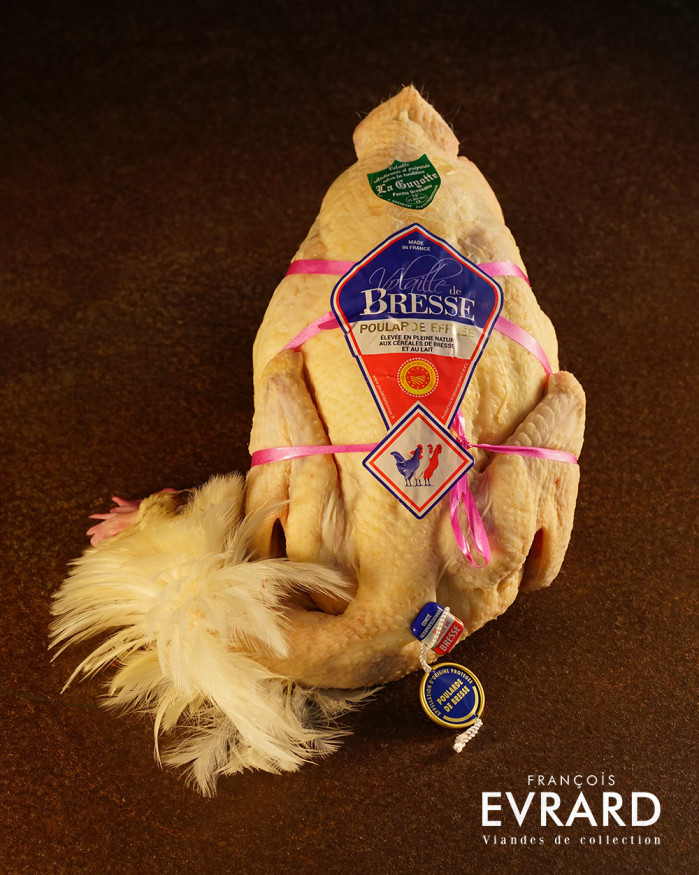 Poularde de Bresse Pliée de chez Joseph Sachetat effilée