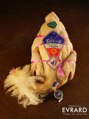 Poularde de Bresse Pliée de chez Joseph Sachetat effilée