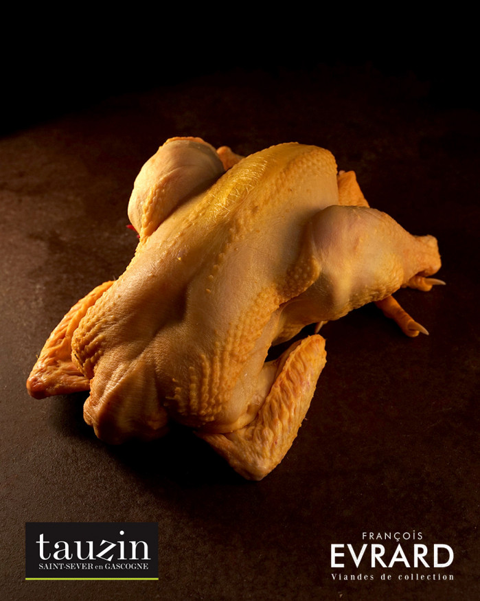 Poulet Jaune Cou nu de chez Arnaud tauzin