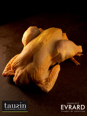 Poulet Jaune Cou nu de chez Arnaud tauzin