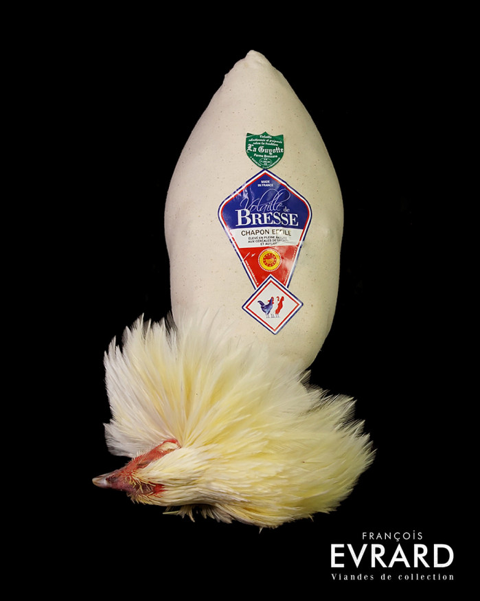 Chapon de Bresse Roulé Poids moyen 3.5 kg entre 3kg et 4 kg