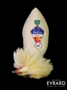 Chapon de Bresse Roulé Poids moyen 3.5 kg entre 3kg et 4 kg