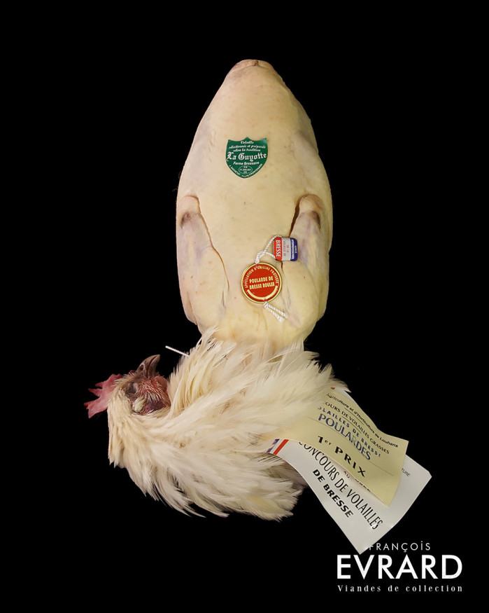 Poularde de Bresse Roulée Poids Moyen  2.5 kg varie +- 300gr