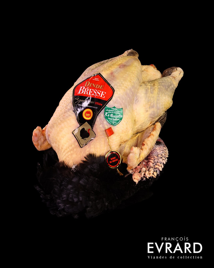Dinde de Bresse Pliée ( poids entre 3,500 et 4 kg)