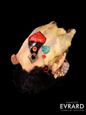Dinde de Bresse Pliée ( poids entre 3,500 et 4 kg)