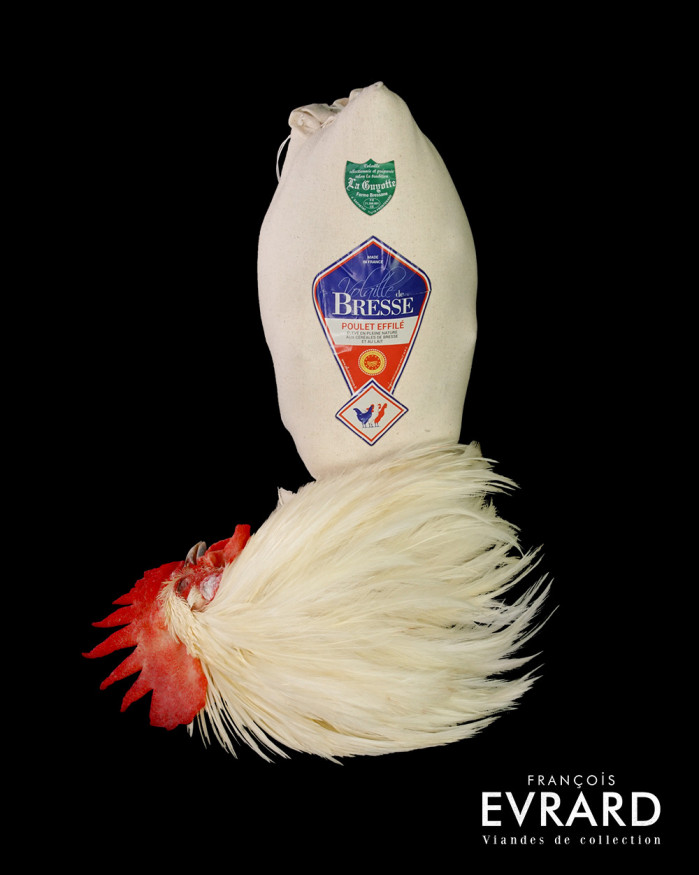 Poulet de Bresse roulé  Poids Moyen 3.8 kg