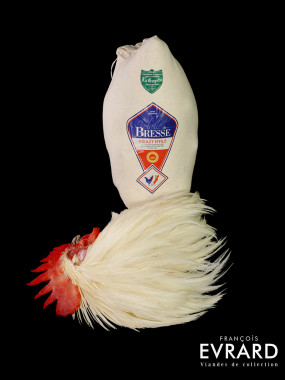Poulet de Bresse roulé  Poids Moyen 3.8 kg