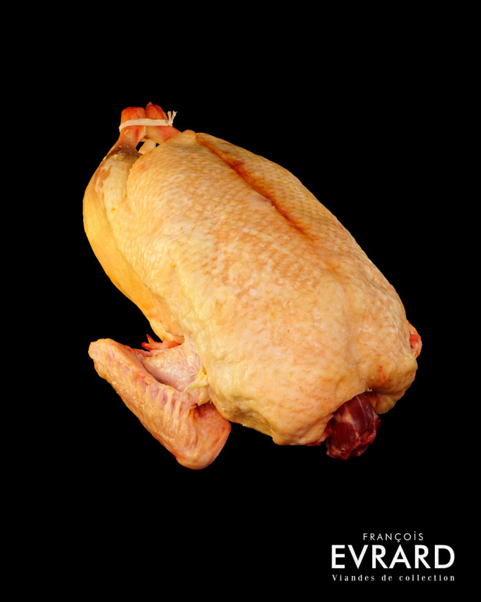 Canard Gras Poids moyen 3 kg varie +- 300 gr