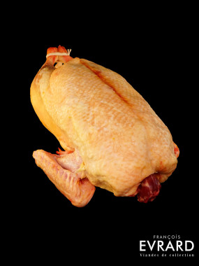 Canard Gras Poids moyen 3 kg varie +- 300 gr