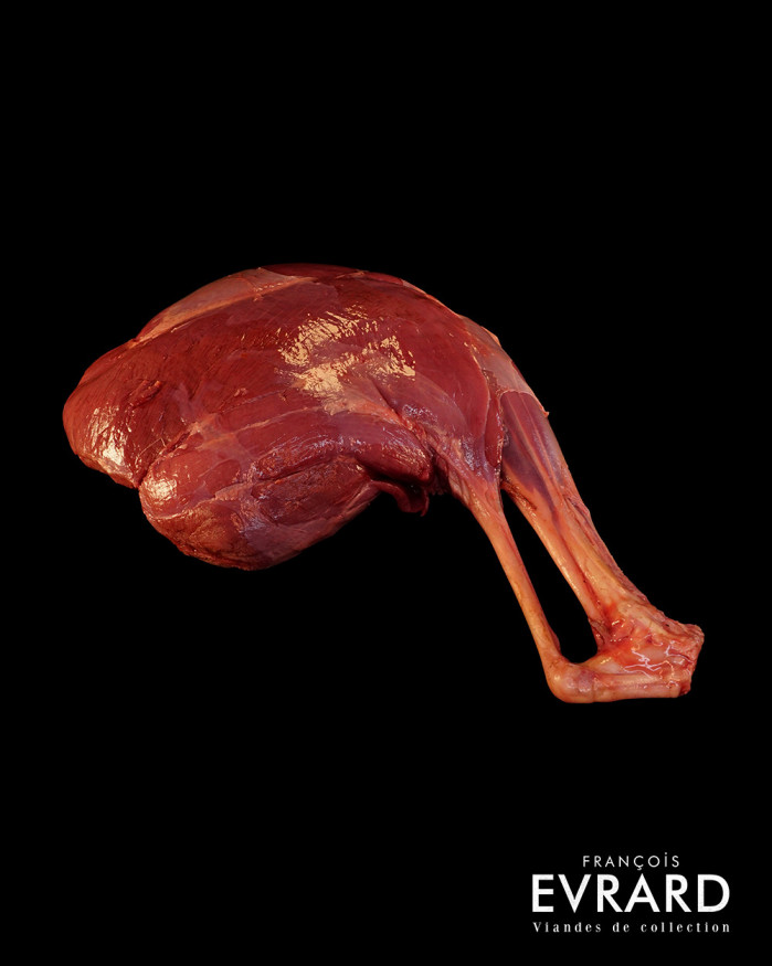 Gigue de chevreuil - Vendu Entier - Pièce entre 1.2 kg et  2.2 kg