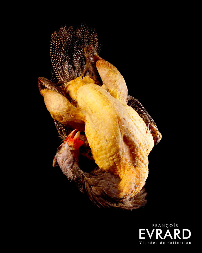 Pintade Chaponnée du Gers Poids moyen 2.5 kg varie entre 2.3 et 2.8 kg