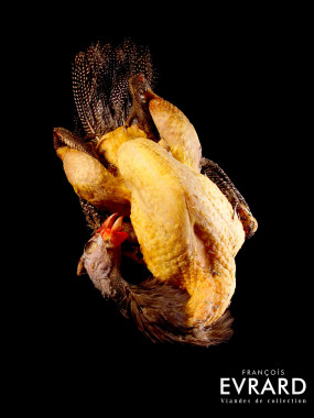 Pintade Chaponnée du Gers Poids moyen 2.5 kg varie entre 2.3 et 2.8 kg