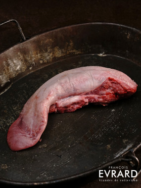 Langue de porc fraiche